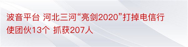 波音平台 河北三河“亮剑2020”打掉电信行使团伙13个 抓获207人