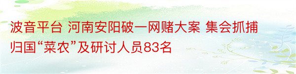 波音平台 河南安阳破一网赌大案 集会抓捕归国“菜农”及研讨人员83名