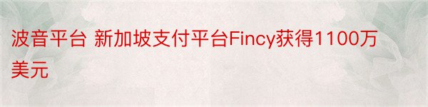 波音平台 新加坡支付平台Fincy获得1100万美元